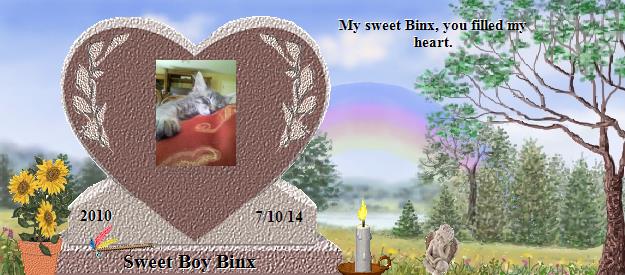 Sweet Boy Binx's Rainbow Bridge Pet Loss Memorial Residency Image