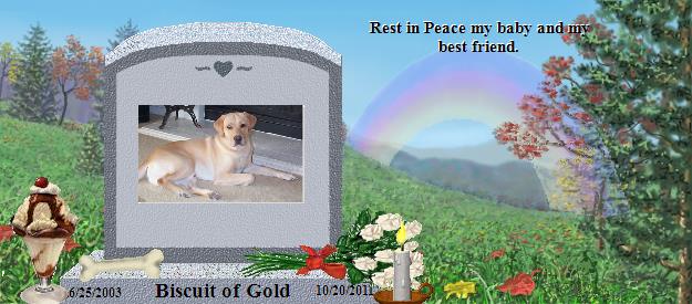 Biscuit of Gold's Rainbow Bridge Pet Loss Memorial Residency Image