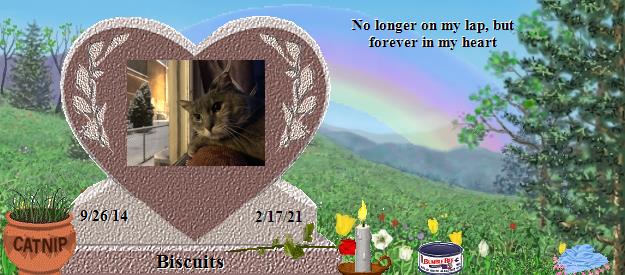Biscuits's Rainbow Bridge Pet Loss Memorial Residency Image