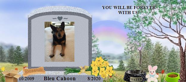 Bleu Cahoon's Rainbow Bridge Pet Loss Memorial Residency Image