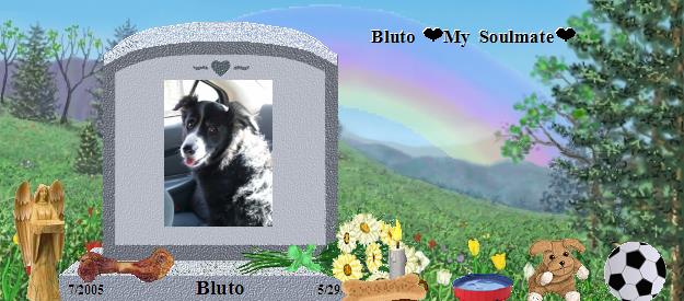 Bluto's Rainbow Bridge Pet Loss Memorial Residency Image