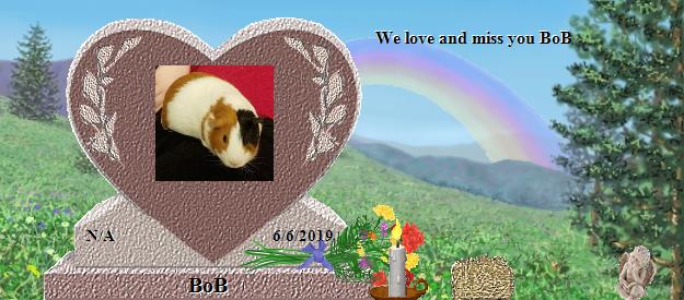 BoB's Rainbow Bridge Pet Loss Memorial Residency Image