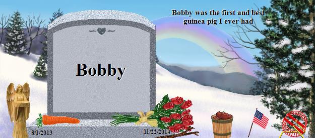 Bobby's Rainbow Bridge Pet Loss Memorial Residency Image