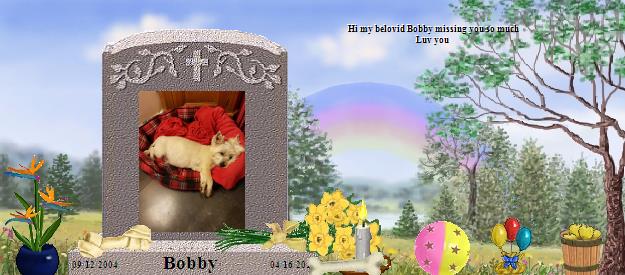 Bobby's Rainbow Bridge Pet Loss Memorial Residency Image