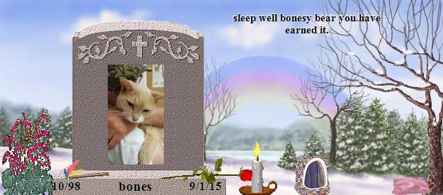 bones's Rainbow Bridge Pet Loss Memorial Residency Image