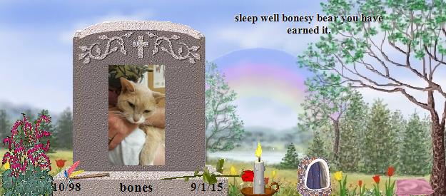bones's Rainbow Bridge Pet Loss Memorial Residency Image