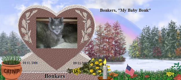 Bonkers's Rainbow Bridge Pet Loss Memorial Residency Image