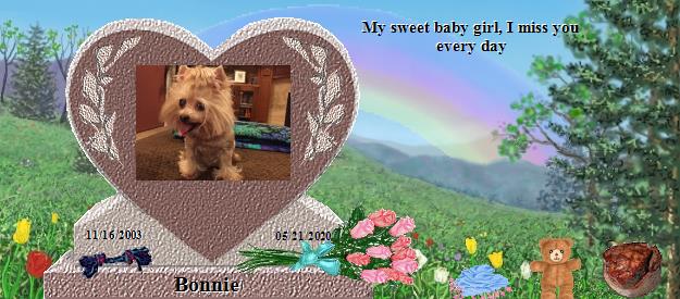 Bonnie's Rainbow Bridge Pet Loss Memorial Residency Image