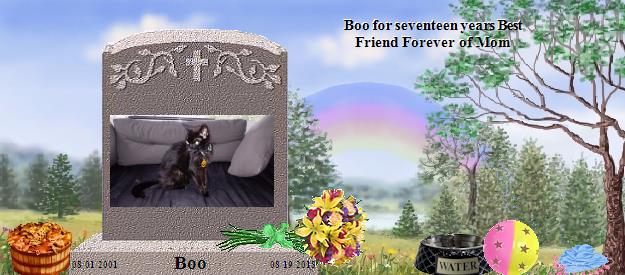 Boo's Rainbow Bridge Pet Loss Memorial Residency Image
