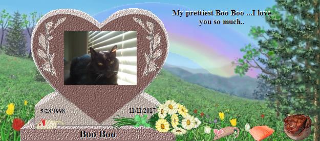 Boo Boo's Rainbow Bridge Pet Loss Memorial Residency Image