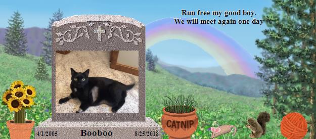 Booboo's Rainbow Bridge Pet Loss Memorial Residency Image