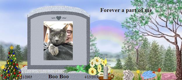 Boo Boo's Rainbow Bridge Pet Loss Memorial Residency Image