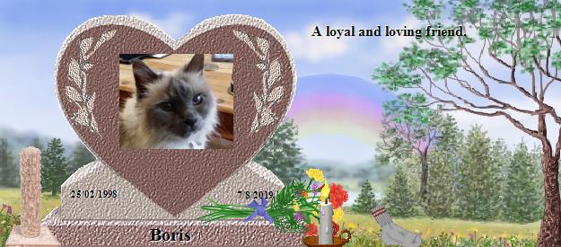 Boris's Rainbow Bridge Pet Loss Memorial Residency Image