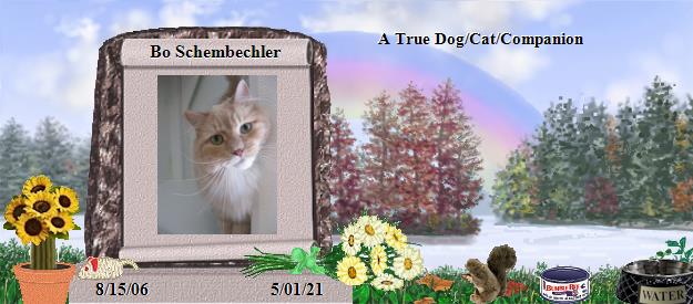 Bo Schembechler's Rainbow Bridge Pet Loss Memorial Residency Image