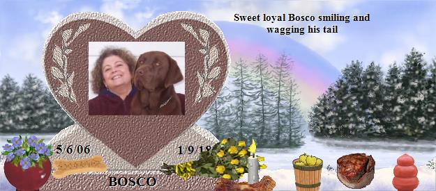 BOSCO's Rainbow Bridge Pet Loss Memorial Residency Image