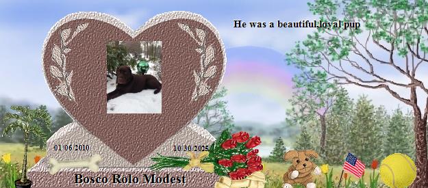 Bosco Rolo Modest's Rainbow Bridge Pet Loss Memorial Residency Image