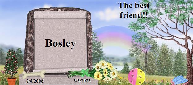 Bosley's Rainbow Bridge Pet Loss Memorial Residency Image