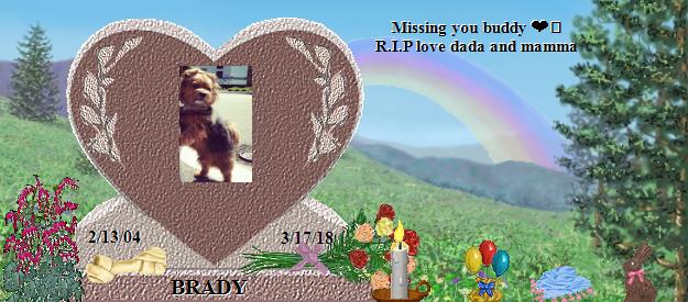 BRADY's Rainbow Bridge Pet Loss Memorial Residency Image