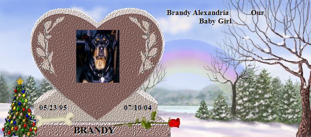 BRANDY's Rainbow Bridge Pet Loss Memorial Residency Image