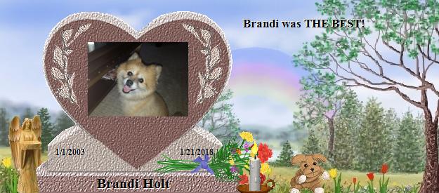 Brandi Holt's Rainbow Bridge Pet Loss Memorial Residency Image