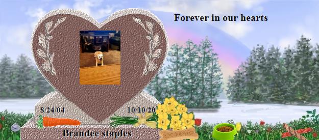 Brandee staples's Rainbow Bridge Pet Loss Memorial Residency Image