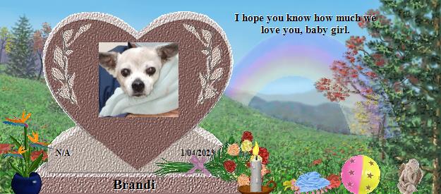 Brandi's Rainbow Bridge Pet Loss Memorial Residency Image