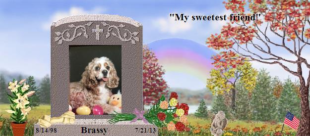 Brassy's Rainbow Bridge Pet Loss Memorial Residency Image