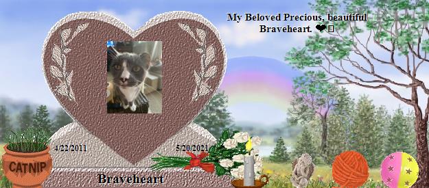 Braveheart's Rainbow Bridge Pet Loss Memorial Residency Image