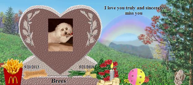 Brees's Rainbow Bridge Pet Loss Memorial Residency Image