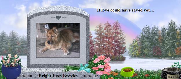 Bright Eyes Broyles's Rainbow Bridge Pet Loss Memorial Residency Image