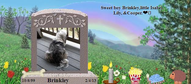 Brinkley's Rainbow Bridge Pet Loss Memorial Residency Image