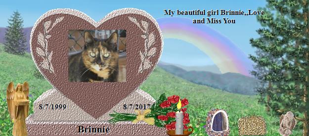 Brinnie's Rainbow Bridge Pet Loss Memorial Residency Image