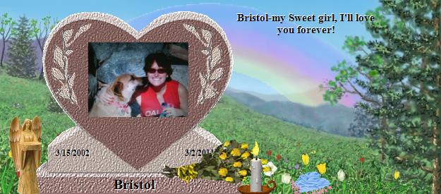 Bristol's Rainbow Bridge Pet Loss Memorial Residency Image