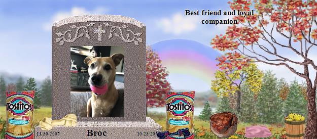 Broc's Rainbow Bridge Pet Loss Memorial Residency Image
