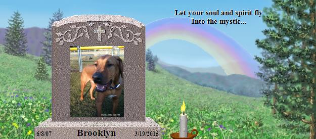 Brooklyn's Rainbow Bridge Pet Loss Memorial Residency Image