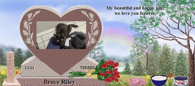 Bruce Riley's Rainbow Bridge Pet Loss Memorial Residency Image