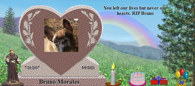 Bruno Morales's Rainbow Bridge Pet Loss Memorial Residency Image