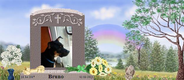 Bruno's Rainbow Bridge Pet Loss Memorial Residency Image