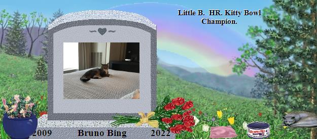 Bruno Bing's Rainbow Bridge Pet Loss Memorial Residency Image
