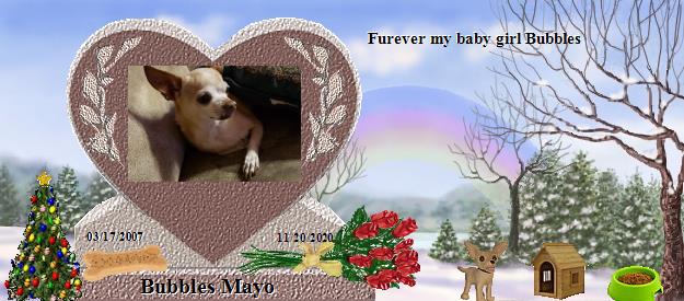 Bubbles Mayo's Rainbow Bridge Pet Loss Memorial Residency Image