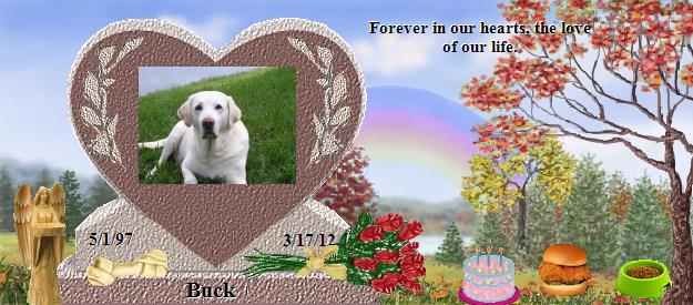 Buck's Rainbow Bridge Pet Loss Memorial Residency Image