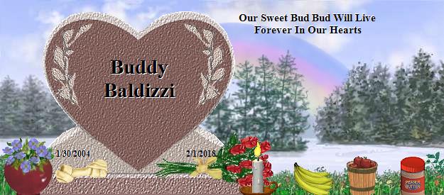 Buddy Baldizzi's Rainbow Bridge Pet Loss Memorial Residency Image