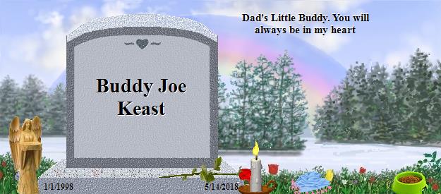 Buddy Joe Keast's Rainbow Bridge Pet Loss Memorial Residency Image
