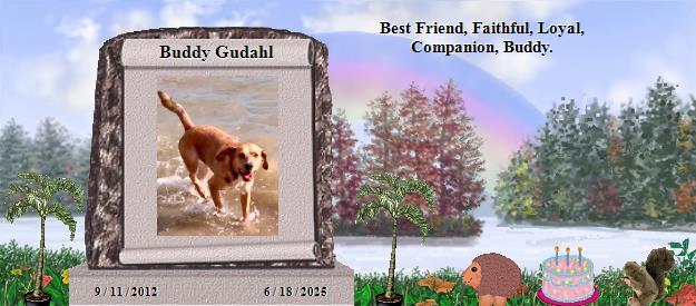 Buddy Gudahl's Rainbow Bridge Pet Loss Memorial Residency Image