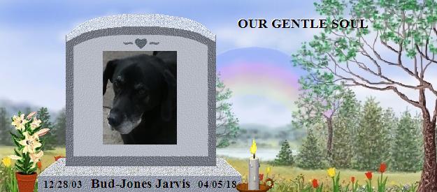 Bud-Jones Jarvis's Rainbow Bridge Pet Loss Memorial Residency Image