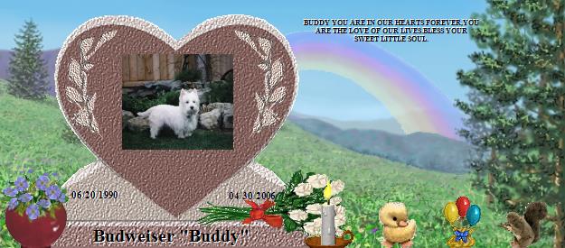 Budweiser "Buddy"'s Rainbow Bridge Pet Loss Memorial Residency Image