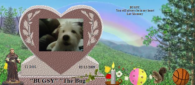 "BUGSY" "The Bug"'s Rainbow Bridge Pet Loss Memorial Residency Image