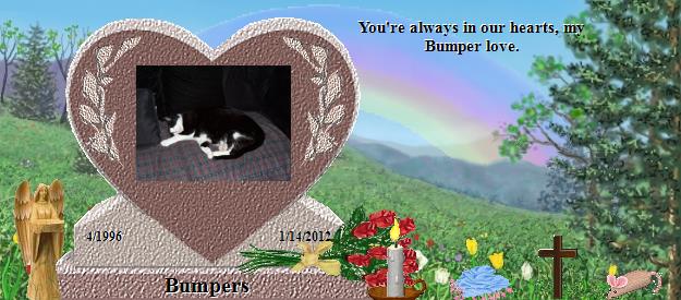 Bumpers's Rainbow Bridge Pet Loss Memorial Residency Image