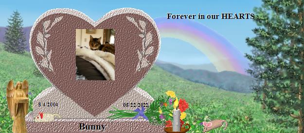 Bunny's Rainbow Bridge Pet Loss Memorial Residency Image