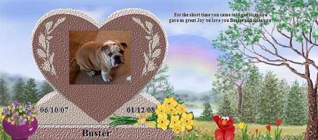 Buster's Rainbow Bridge Pet Loss Memorial Residency Image